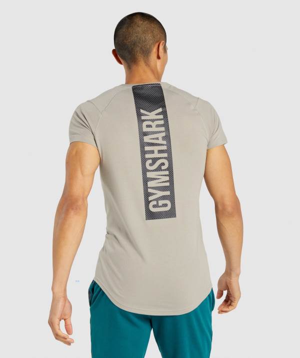 Panske Tricka Gymshark Bold Siva | IL5823974